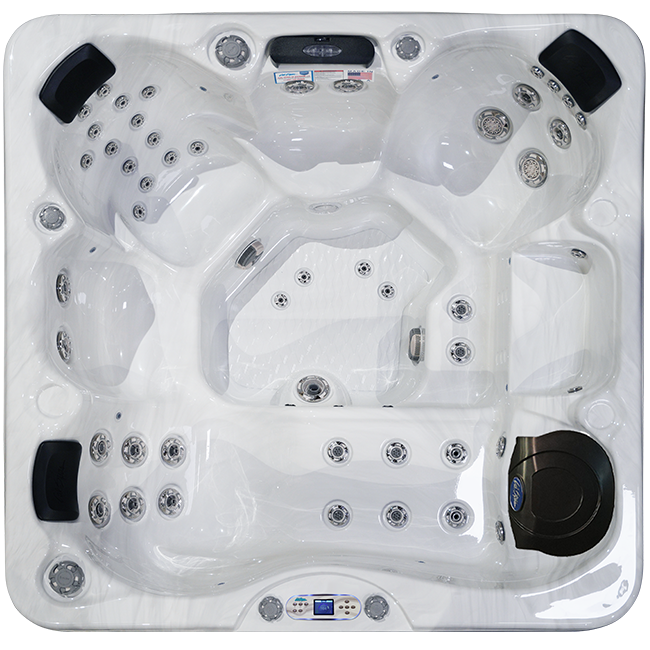 Indulge in Ultimate Relaxation with the Avalon EC-849L Hot Tub